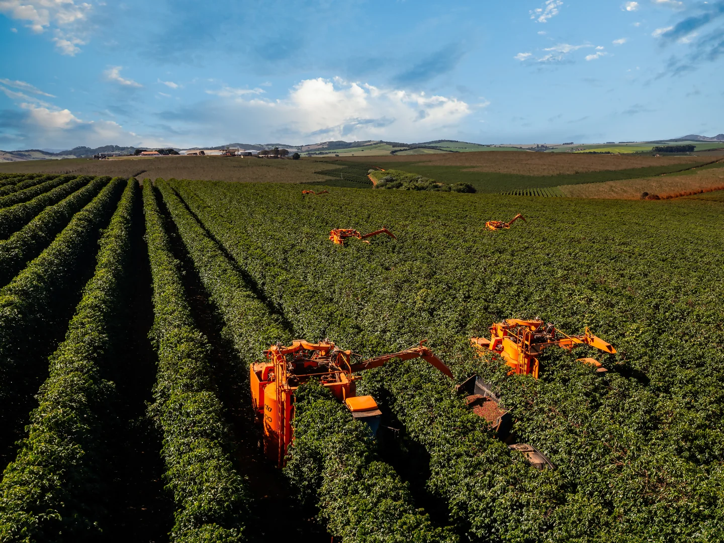 Background - Produtividade garantida